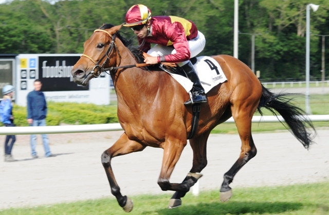 Jubilance (IRE), vinder af Tuborg Jydsk Derby 2012